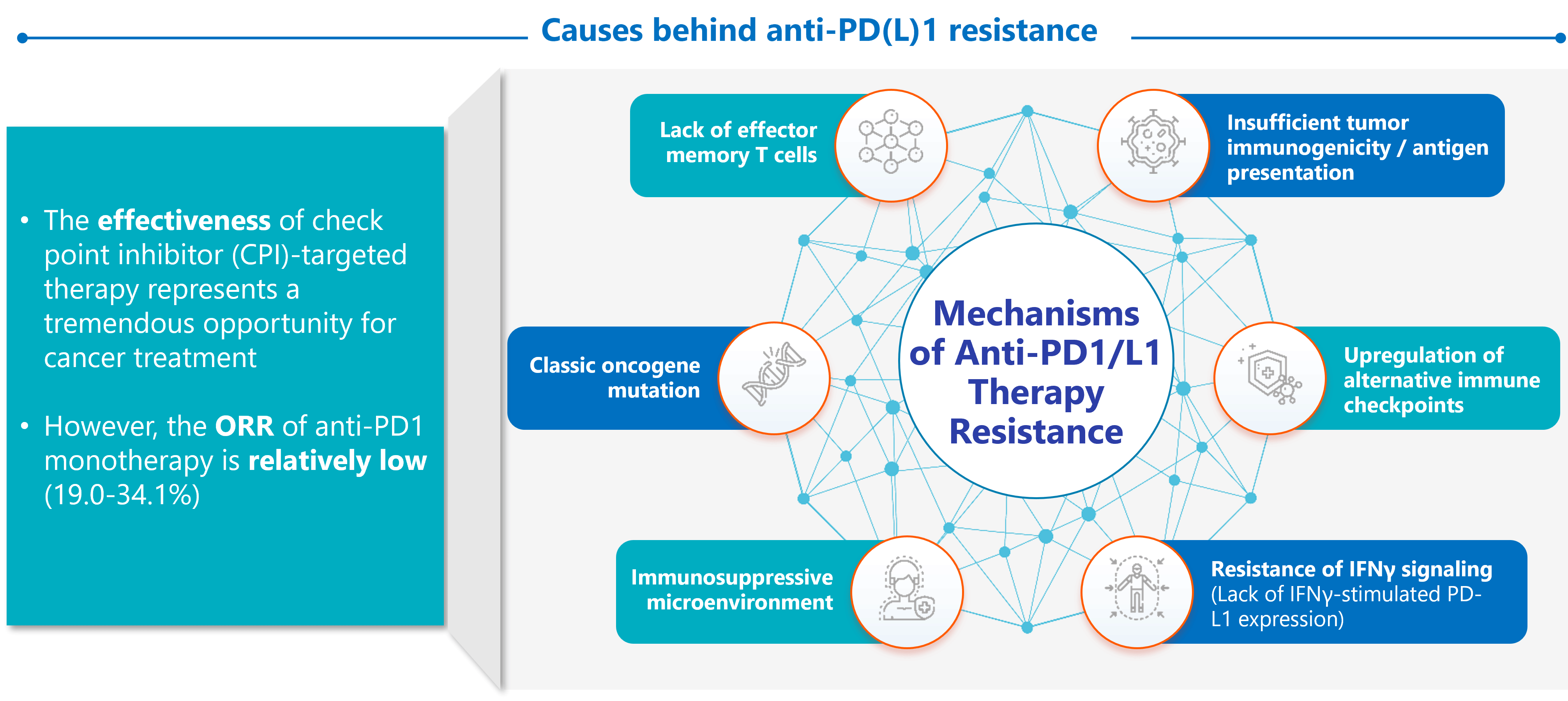 OUR GOAL IS TO OVERCOME THE RESISTANCE TO THE CURRENT CHECKPOINT INHIBITOR THERAPIES.