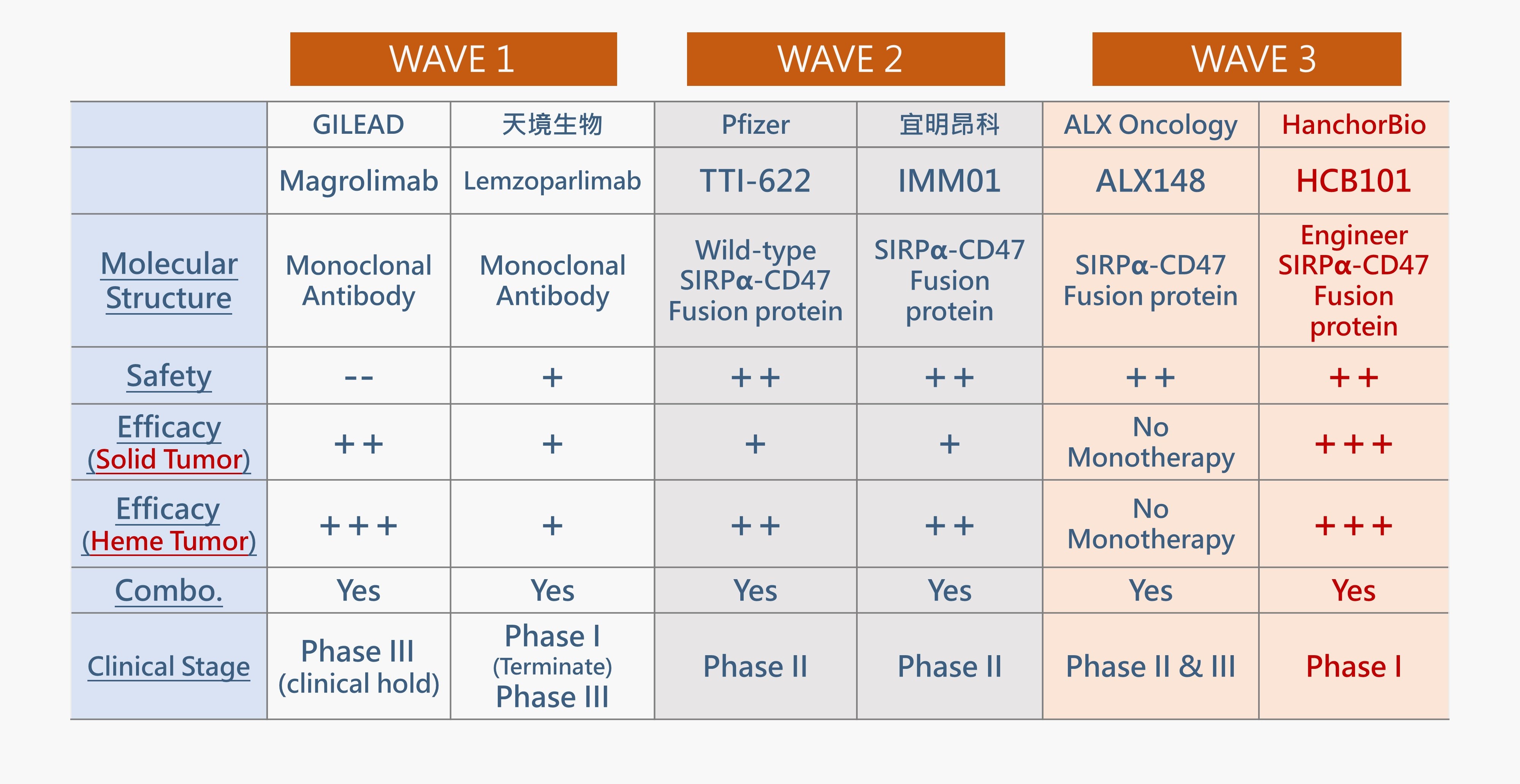 HCB101: Best-in-Class Molecule with Balanced Efficacy & Safety Profile