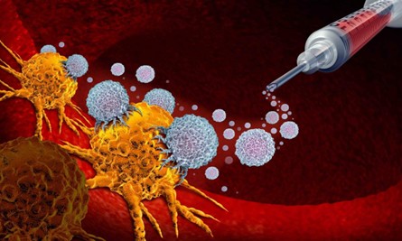 HanchorBio to Present Interim Clinical Data at ASCO 2025 Annual Meeting 漢康生技將於2025年美國臨床腫瘤學會(ASCO)年會發表HCB101初步臨床數據